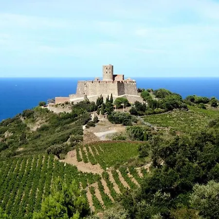 T3 La Crique- Piscine -terrasses -wifi -parking Holiday home Collioure
